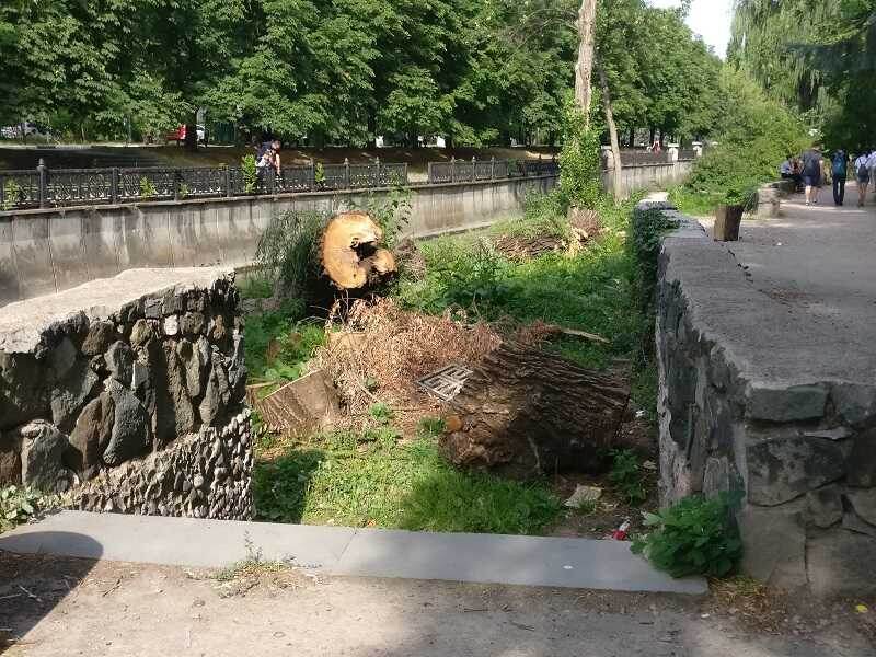 На набережной Салгира в Симферополе Фото: Наталия Назарук