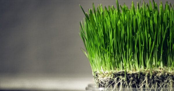 фото: flickr.com