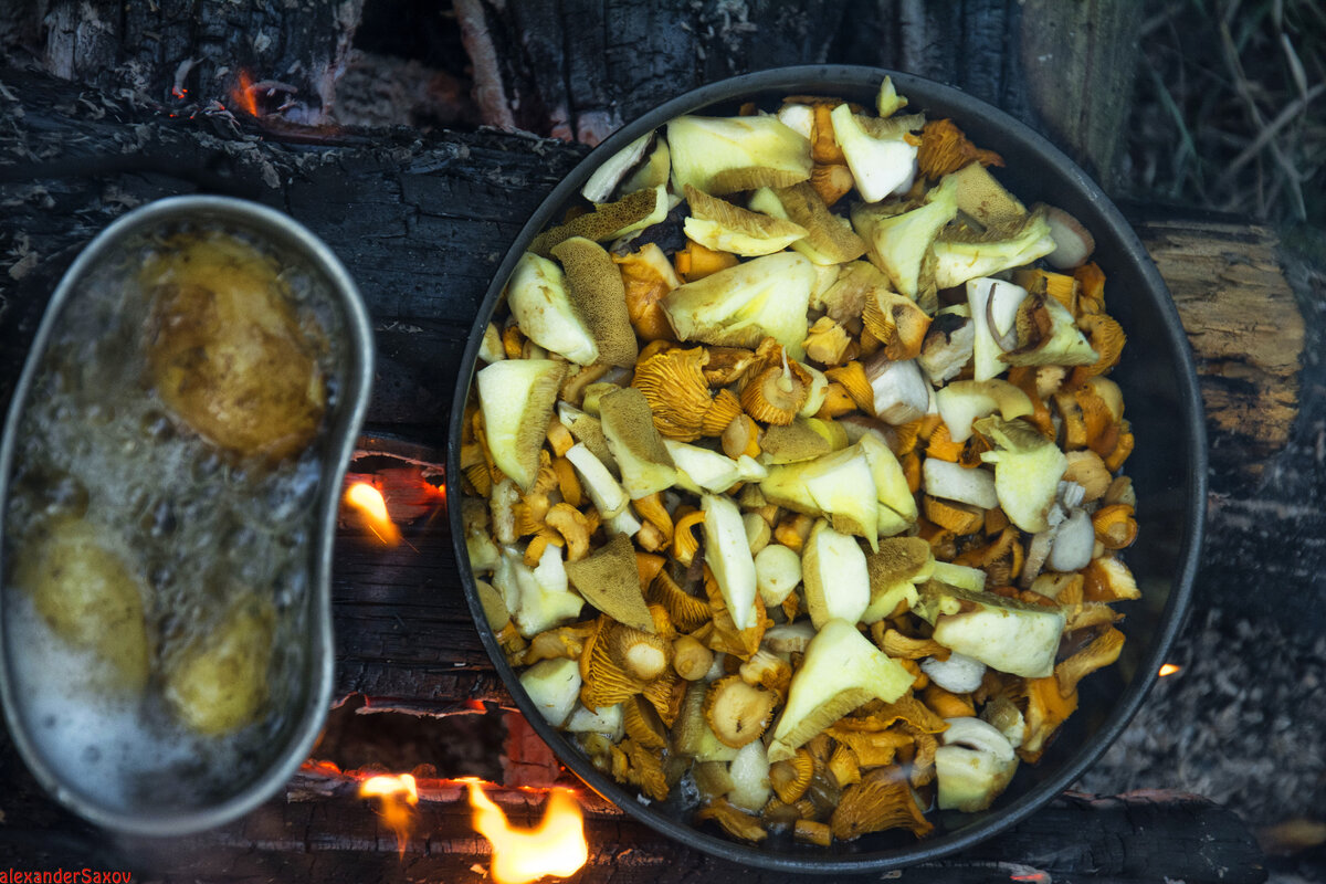 Что приготовить в походе. Лесная кулинария. | среда обитания | Дзен