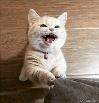 -3