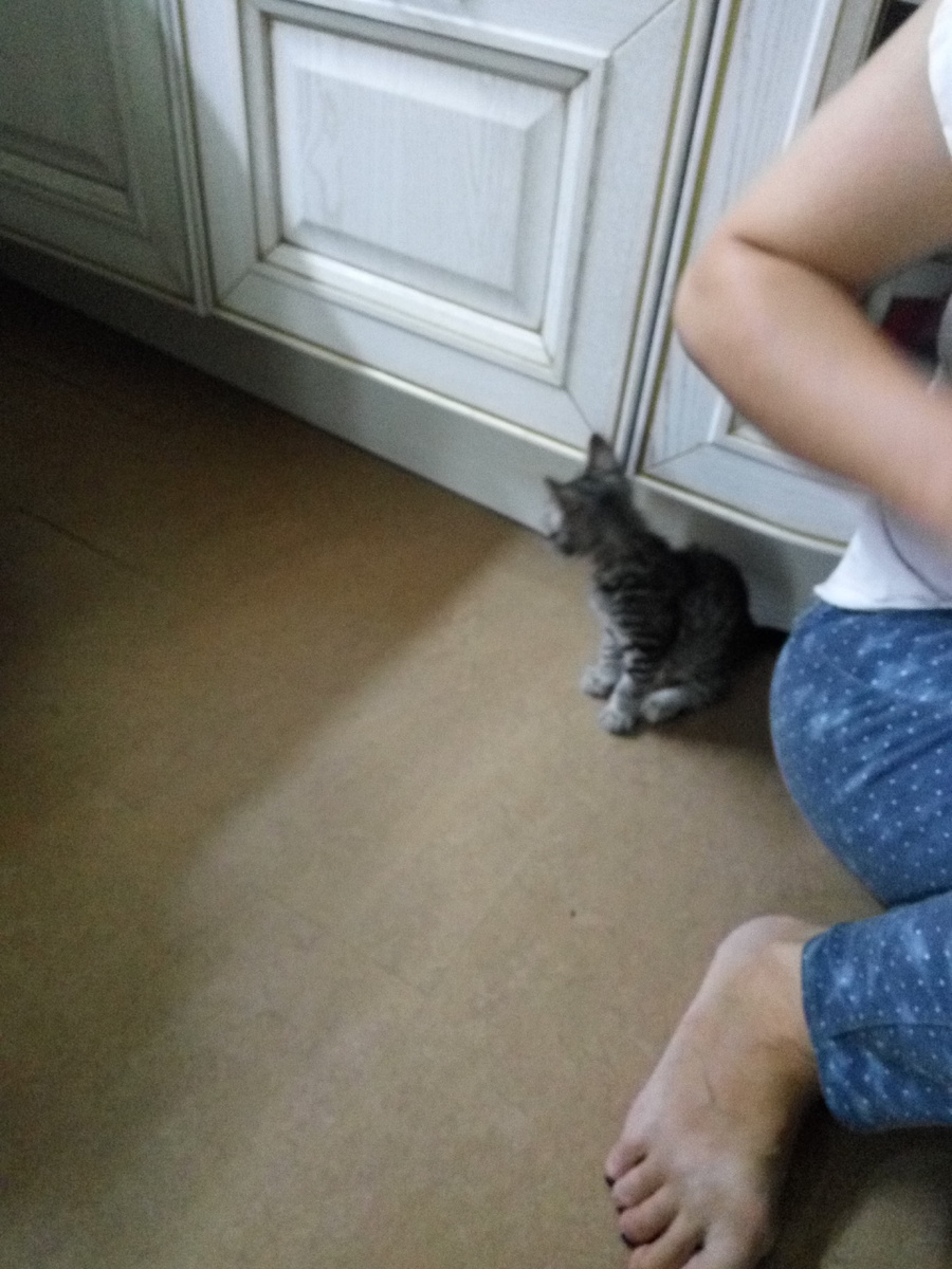 подходи по одному