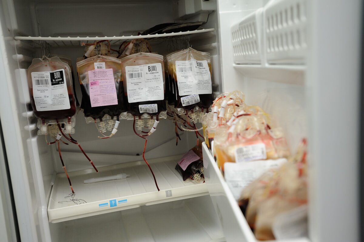 Донор крови воронеж. Холодильник с донорской кровью. Хранение донорской крови в холодильнике. Хранение крови для переливания. Холодильник для крови.