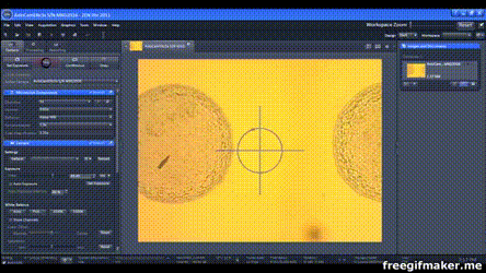 Роботы под микроскопом