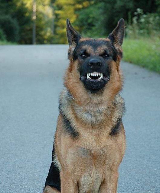 источник: https://belok.net/my_img/img/2017/03/22/f3875.jpg