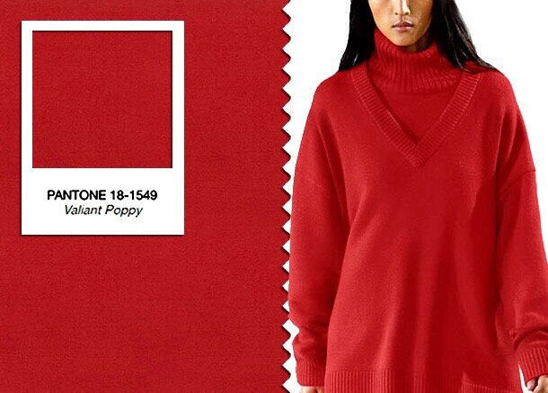 Очаровательно храбрый оттенок для девушек, которые не боятся привлечь внимание. 