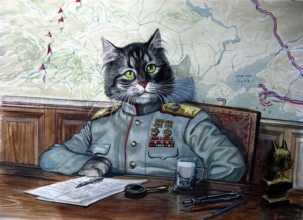 http://joannecasey.blogspot.com/2014/03/soviet-cats-during-second-world-war.html