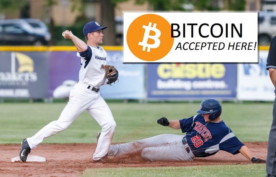 Источник: Harbourcats.com