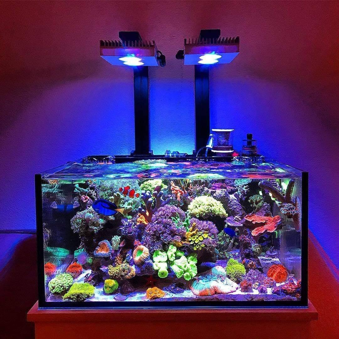 Аквариум Nano Reef