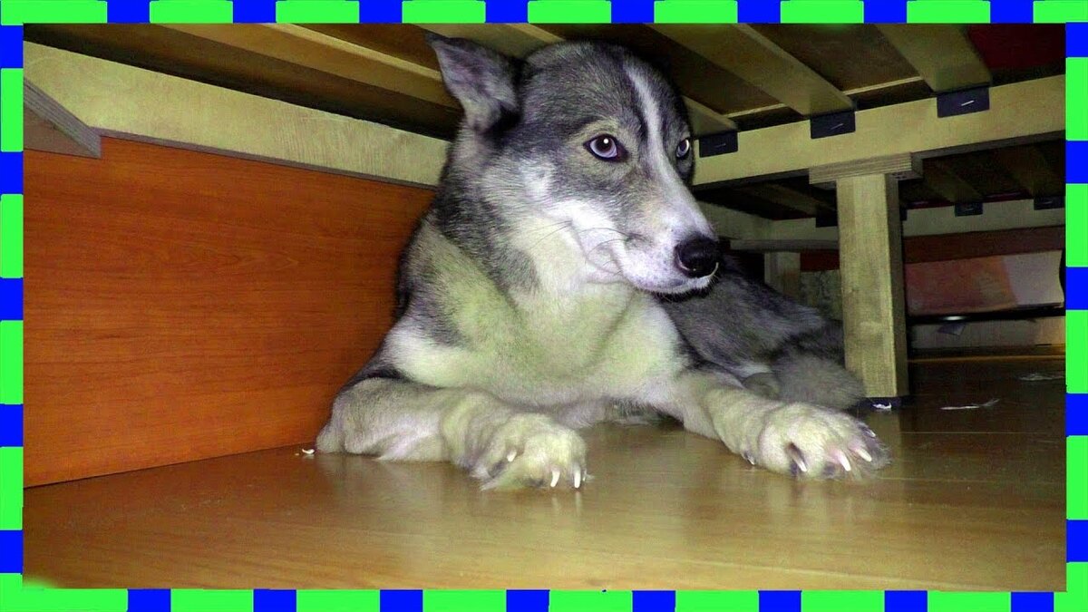 взято с  https://www.youtube.com/watch?v=tPgX_MC9ze4