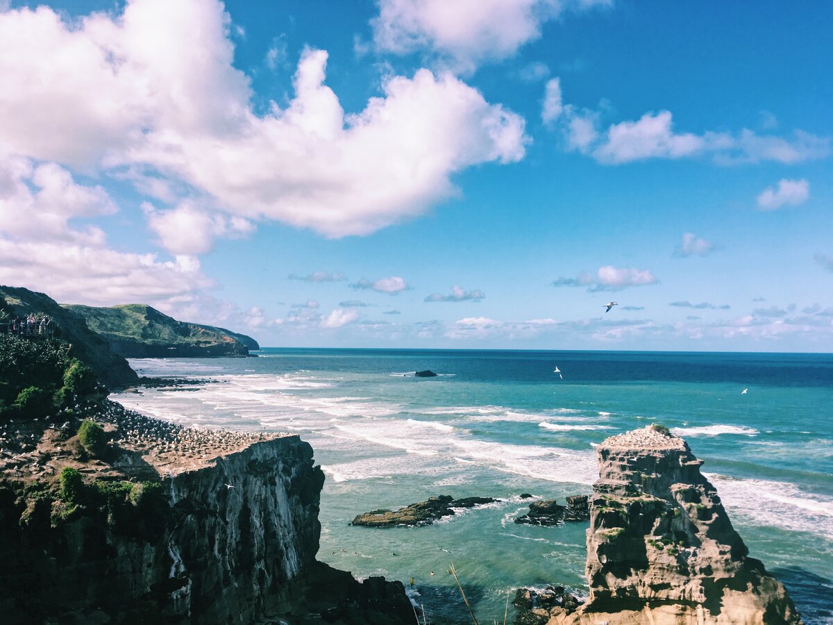 Muriwai beach, New Zealand