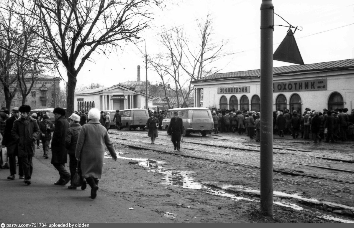 птичий рынок москва старые