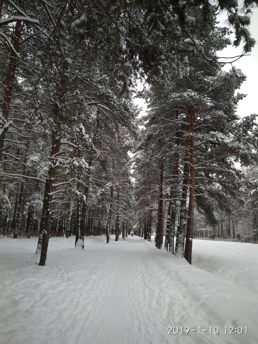 фото самостоятельное