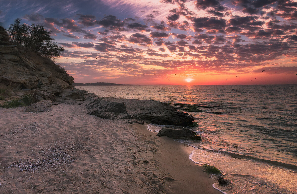 Фото азовского моря красивые