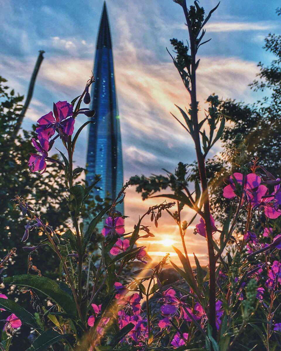 Фото by LitvinovaNV https://www.instagram.com/p/BlCeOQdFKpX/