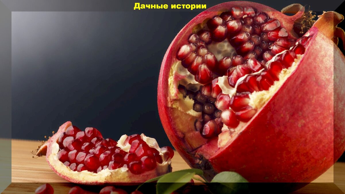 https://vk.com/photo-159774511_456241629