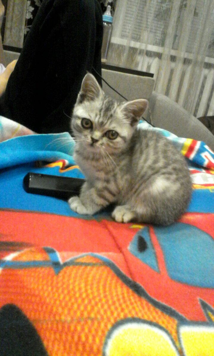 Фото из личного архива