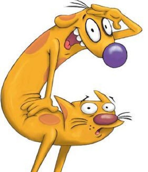   Котопес - один из самых странных, но любимейших мультфильмов из нашего детства. Мультфильм создан по заказу Nickelodeon и транслировался в России на одноимённом канале, а также на ТНТ.-2