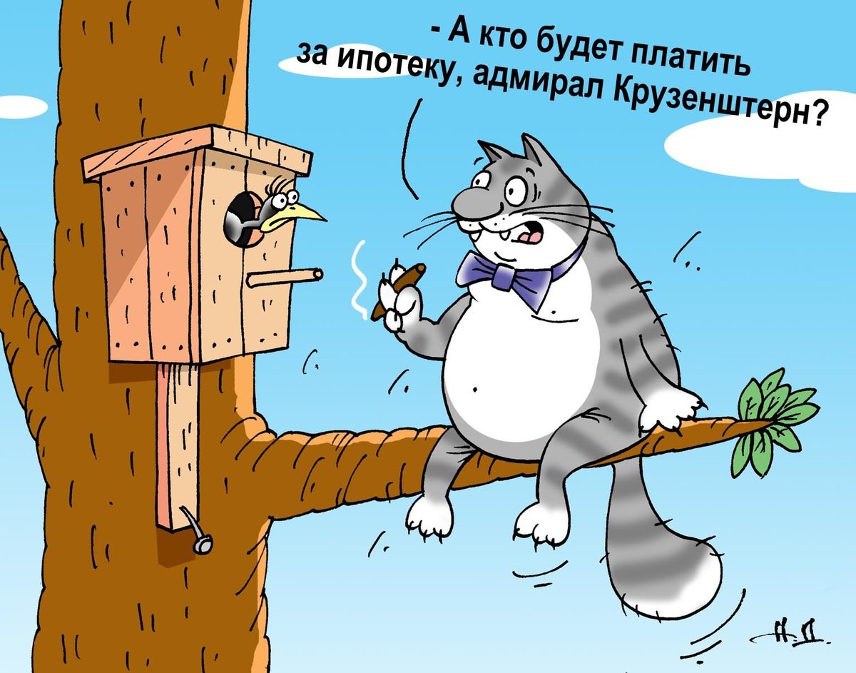 Фото из открытых источников 