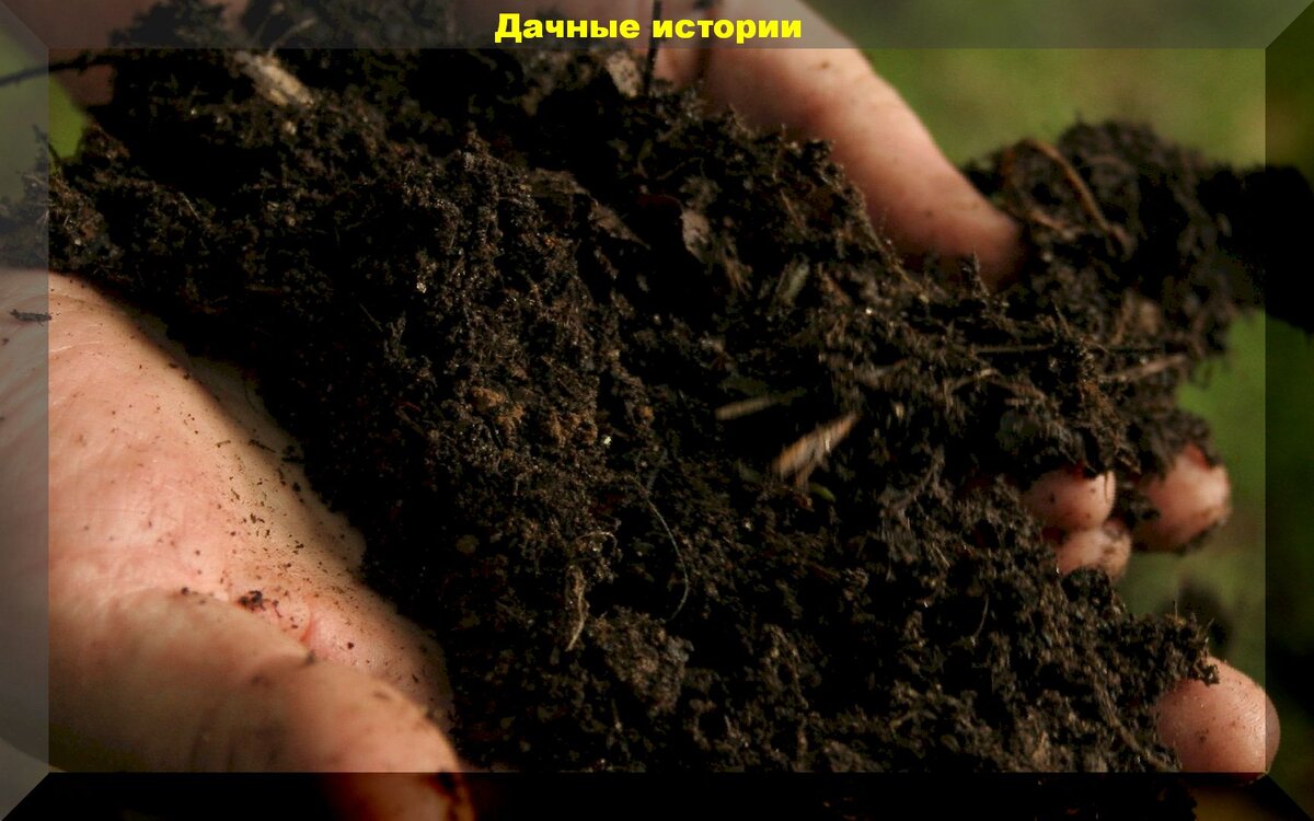 https://vk.com/photo-159774511_457242711