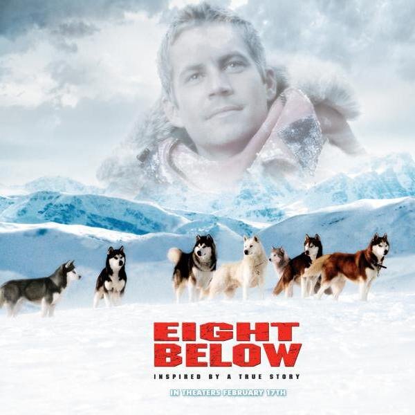 Фото взято с открытых источников