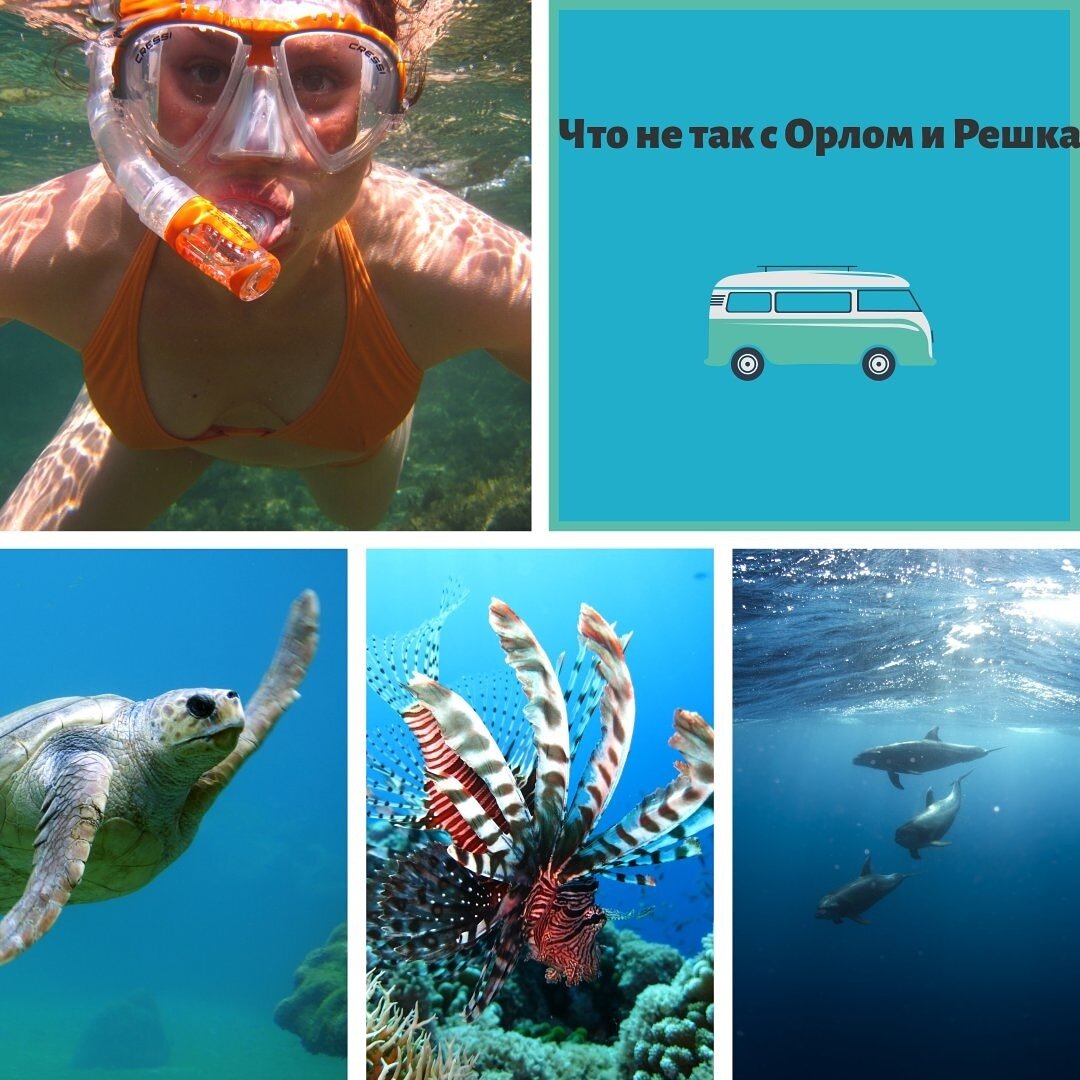 Почему я не смотрю Орел и решка?

А я не вижу пользы от этой передачи. В то время, когда не было конкурентов у этого весьма сомнительного проекта, смотрела. Потому что альтернативы не было .
Фантастика с золотой картой или наоборот нищебродство без денег. 

На мой взгляд передача себя изжила и пора менять формат.

Я смотрю блогеров. Это актуальнее для аудитории. Мне нравится формат люди для людей. 
Зачем придумывать ситуации и погружать ведущих в нелепую среду блеска и нищеты? 
Ютуб сделал прорыв . Он сделал формат все для всех. И непостижимое стало доступным в этой социальной сети каждому.
Моих 2 основные причины не смотреть Орел и решка и их достаточно.
1. Я не олигарх
2. Я не поеду со 100 долларами в кармане в путешествие тоже.

Наоборот 2 причины посмотреть блогеров о путешествиях.
1. Они обычные люди
2. У них примерно соизмеримый бюджет с моим.

Итог очевиден: кто донесет понятную и полезную информацию большинству аудитории.

А вам все еще интересен формат этой передачи или я одна такая?
