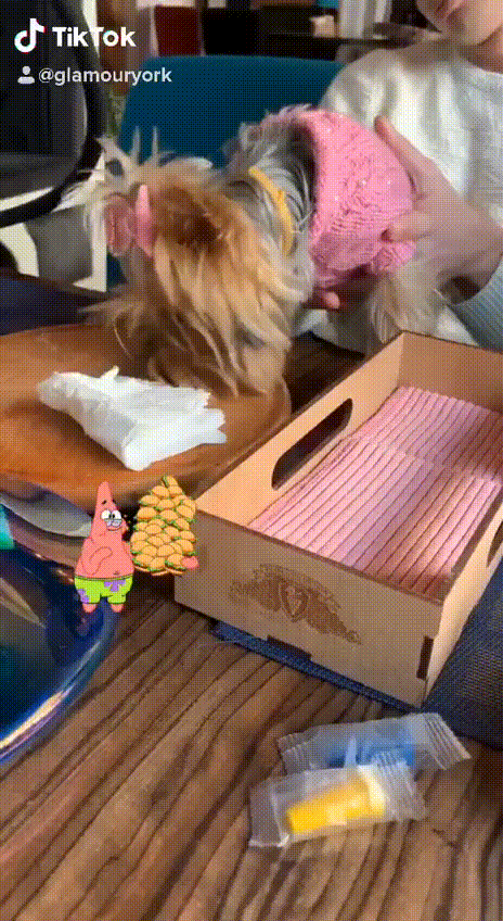 Больше видео Стеффи в TikTok
https://vm.tiktok.com/9GhTof/