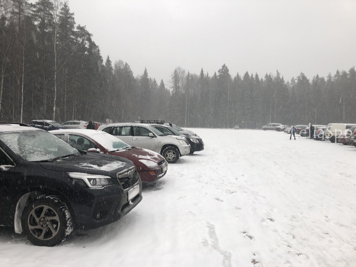 Фото из личного архива. Парковка у зубровника.