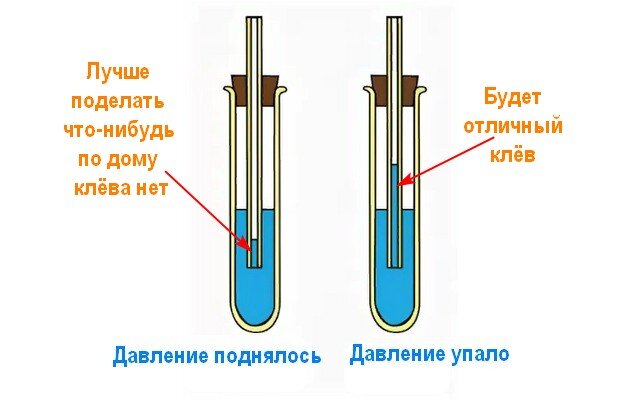 Самодельная 