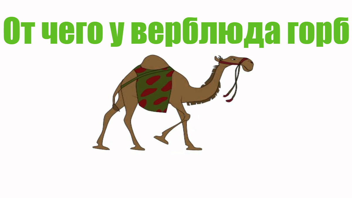 У верблюда два горба потому что. От чего у верблюда горб читать. Отчего у верблюда горб Автор: Редьярд Киплинг. Верблюд как горб получил. Для чего верблюду горб.