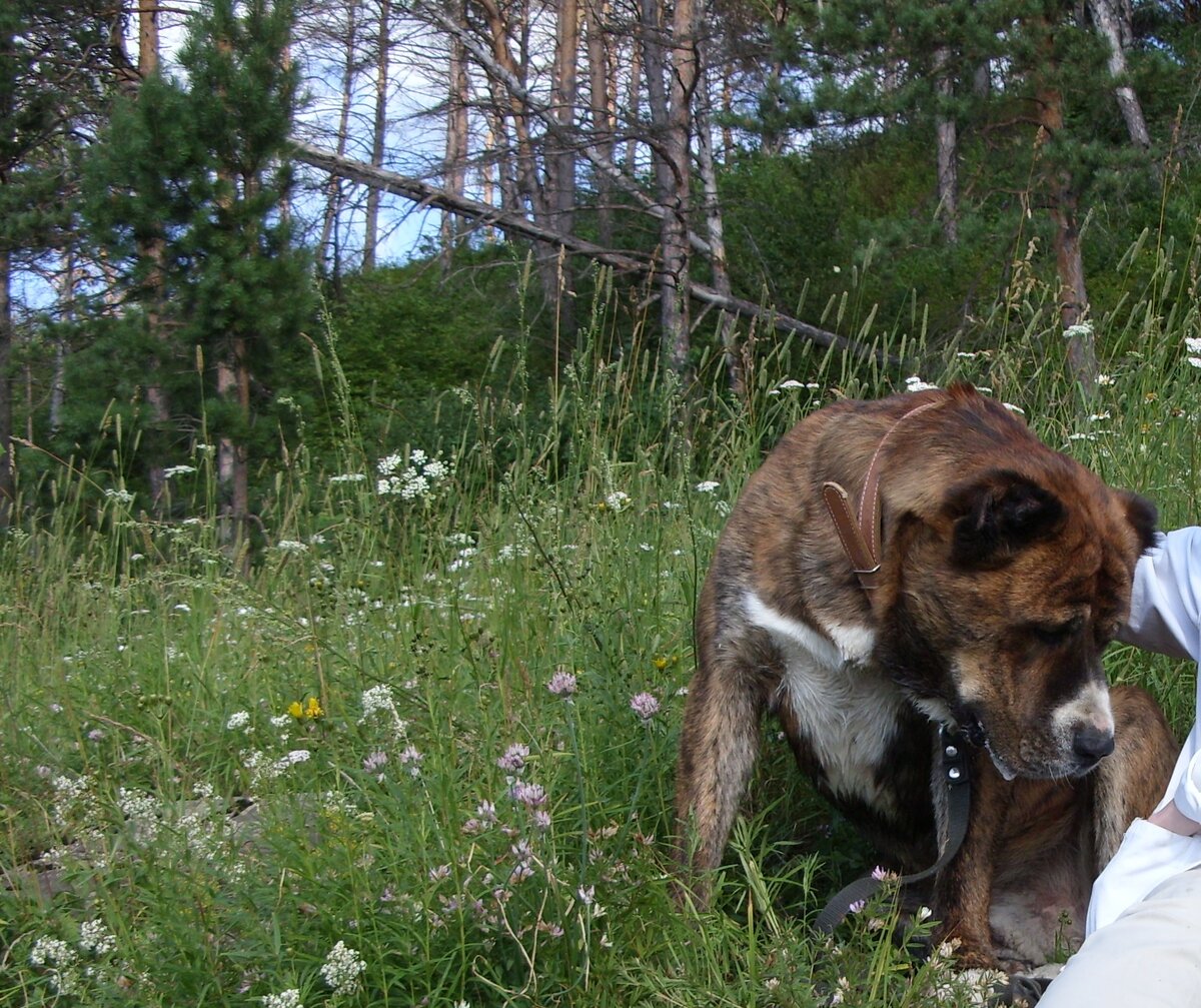 Поджидает жертву у меня из кармана.