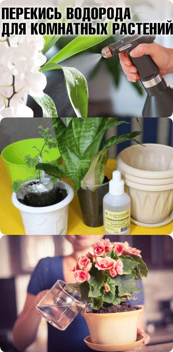 из открытых источников интернета