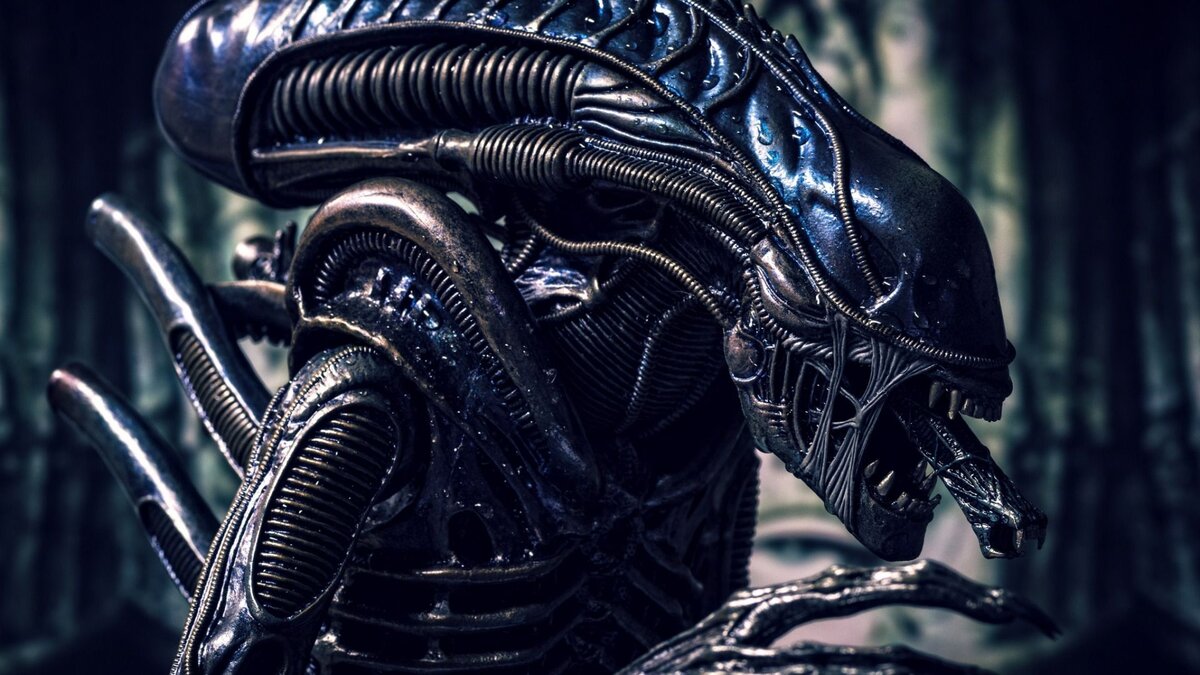 Чужой (яндекс-картинки)