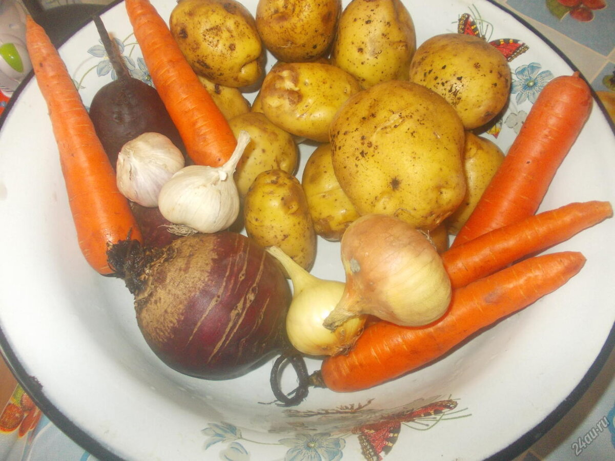 Картофель морковь свекла чеснок. Овощи картофель морковь. Картошка морковь лук без фона. Конфеты в форме картошки моркови. Белый овощ похожий на морковь и свеклу.