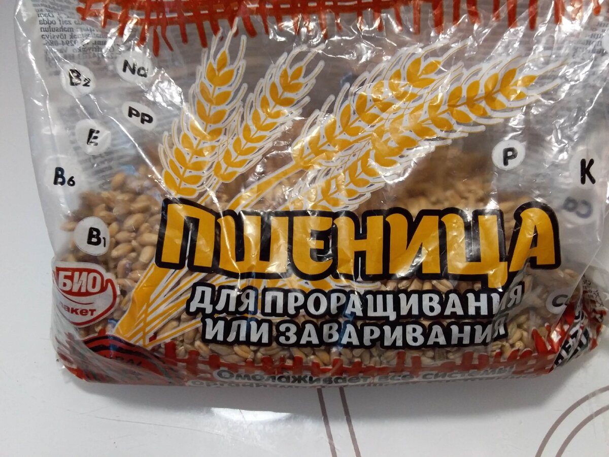 пшеница для проращивания