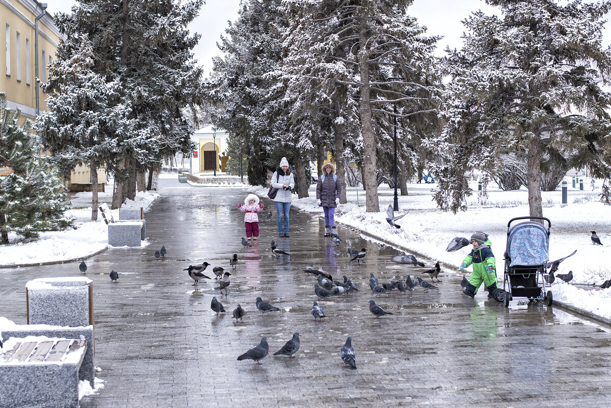Астрахань в декабре. Астрахань зима. Астрахань зимой. Астрахань в январе