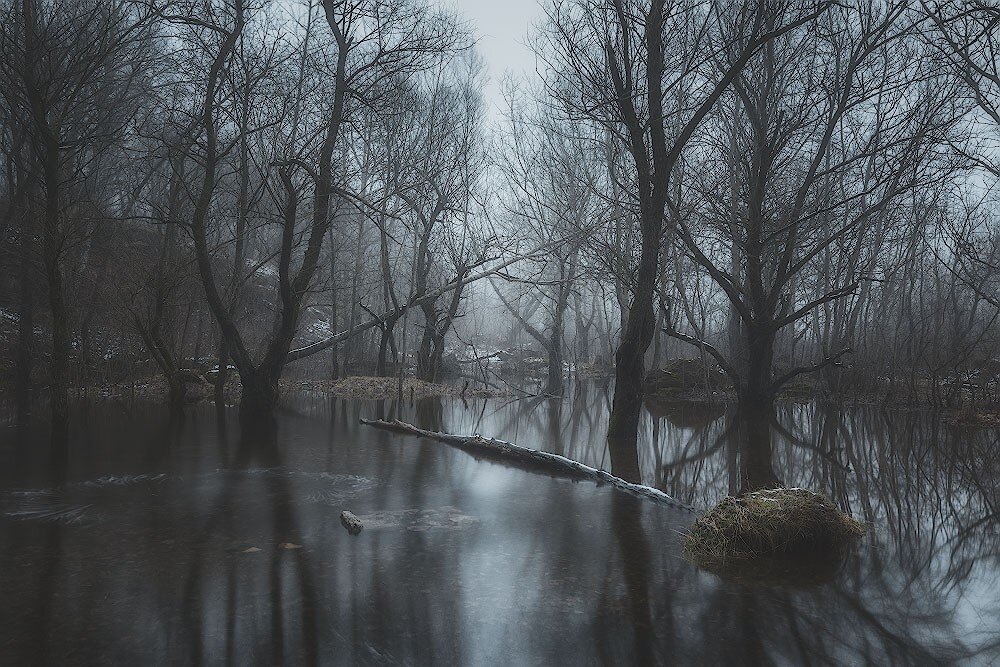 Фото:Андрей Смольников (Семь дней после зимы)