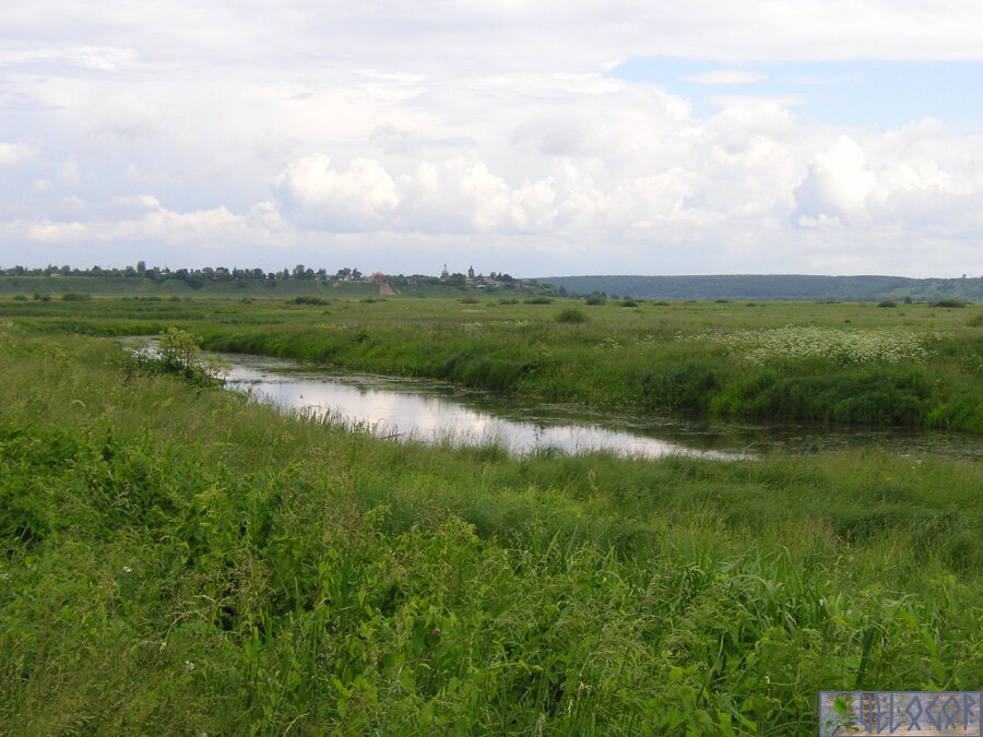 Деревня поляны. Озеро Полянское Калужская область. Село Поляна Калужская область. Деревня Шершино Калужская область. Деревня Поляна Калуга.