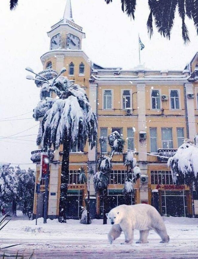 Это новогодняя шутка