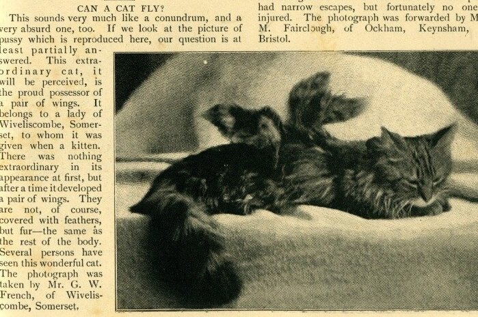 Вот так выглядела эта публикация