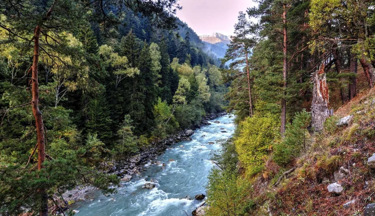 Река большой зеленчук в архызе фото