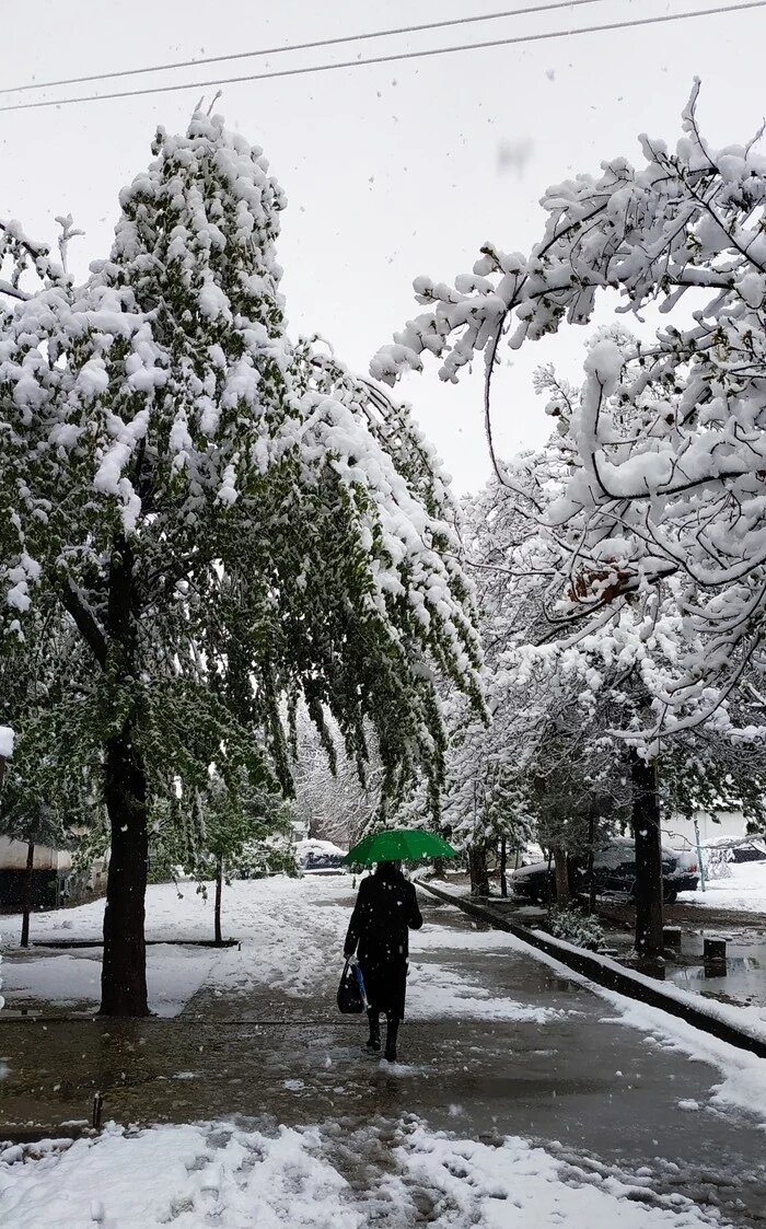 Снег в Таджикистане. Снег в Душанбе. Снегопад в Душанбе. Таджикистан зимой.