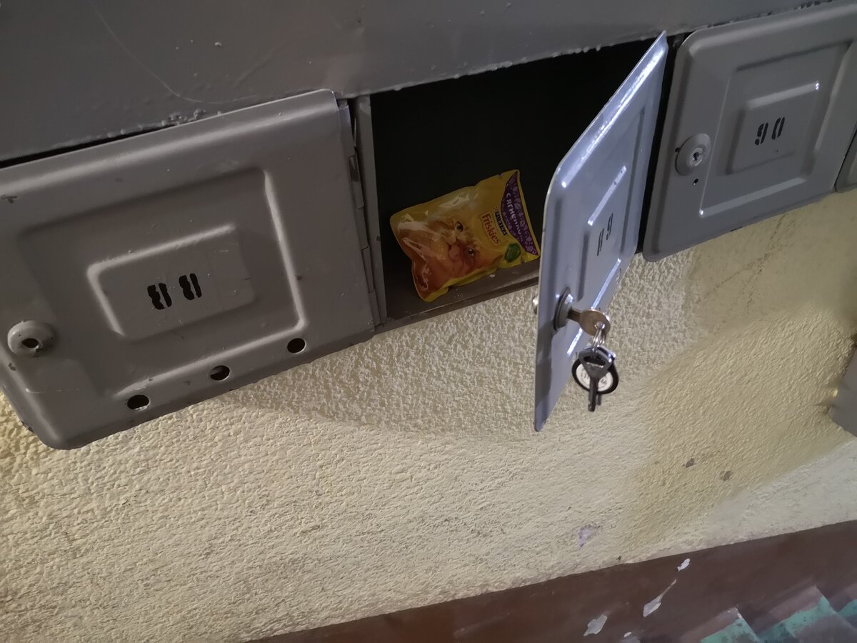 Почтовый ящик в моем доме. Я там корм для уличных котов храню. 