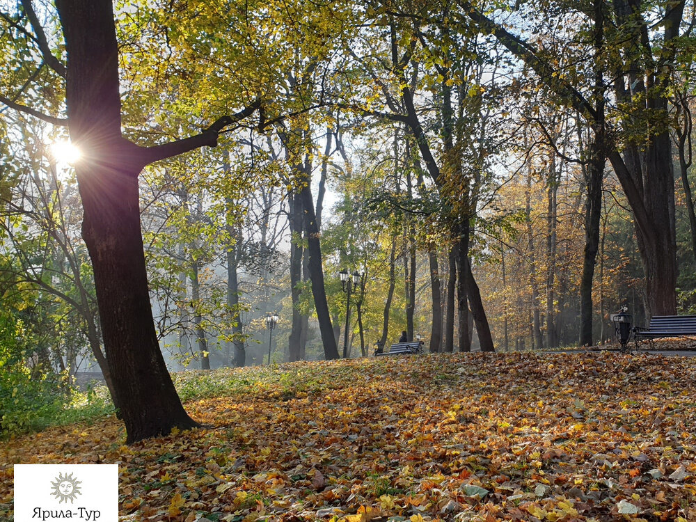 Кисловодск, курортный парк, осень, утро. Фото 2