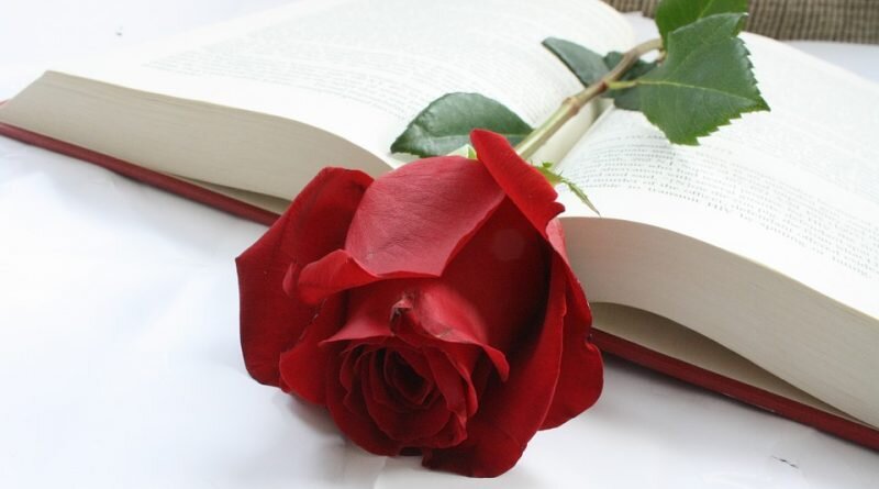 Из капли крови Дракона выросла прекрасная роза