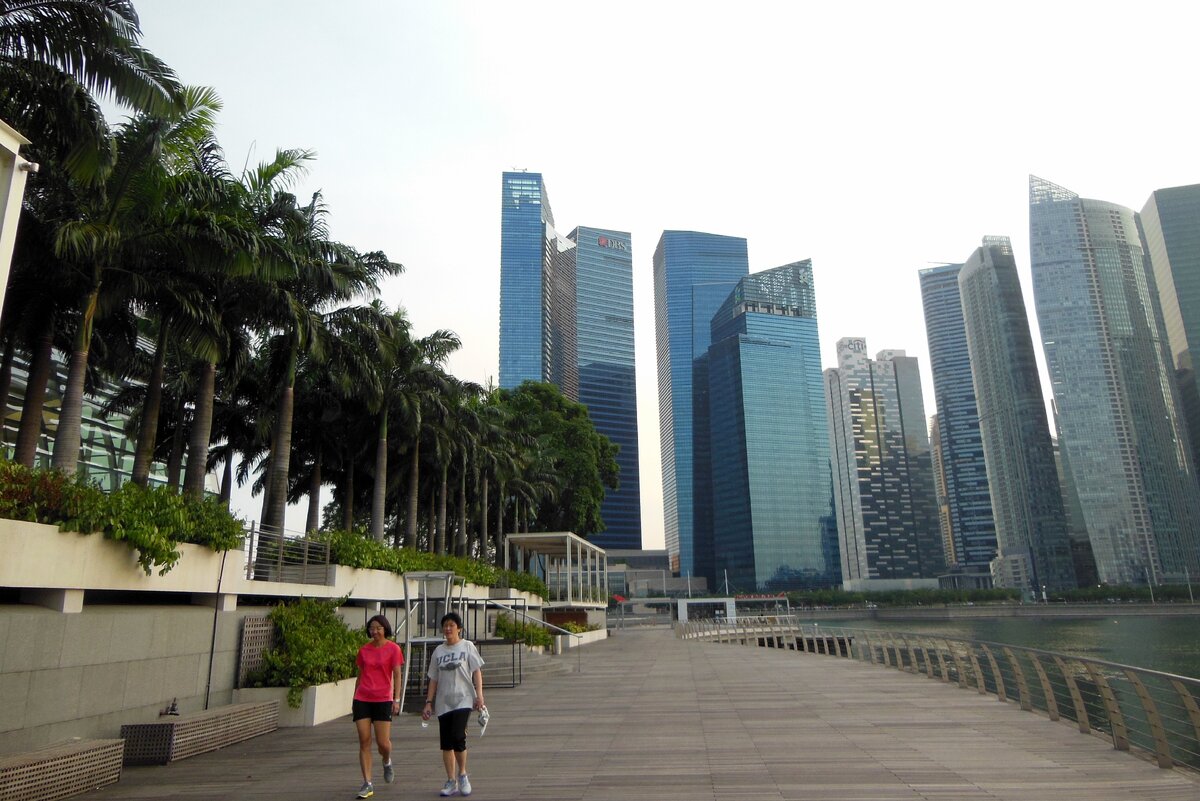 все фото автора