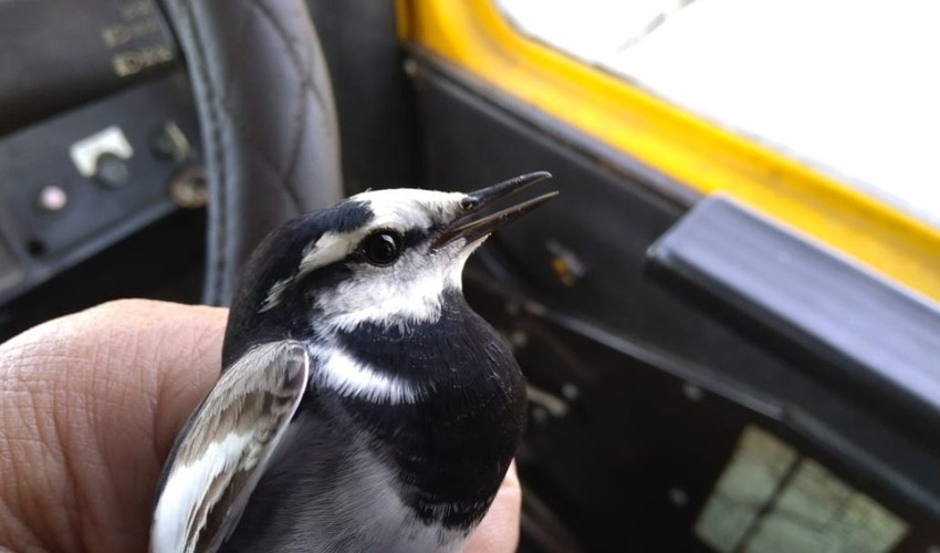 Фото: Виталий Кузьменко