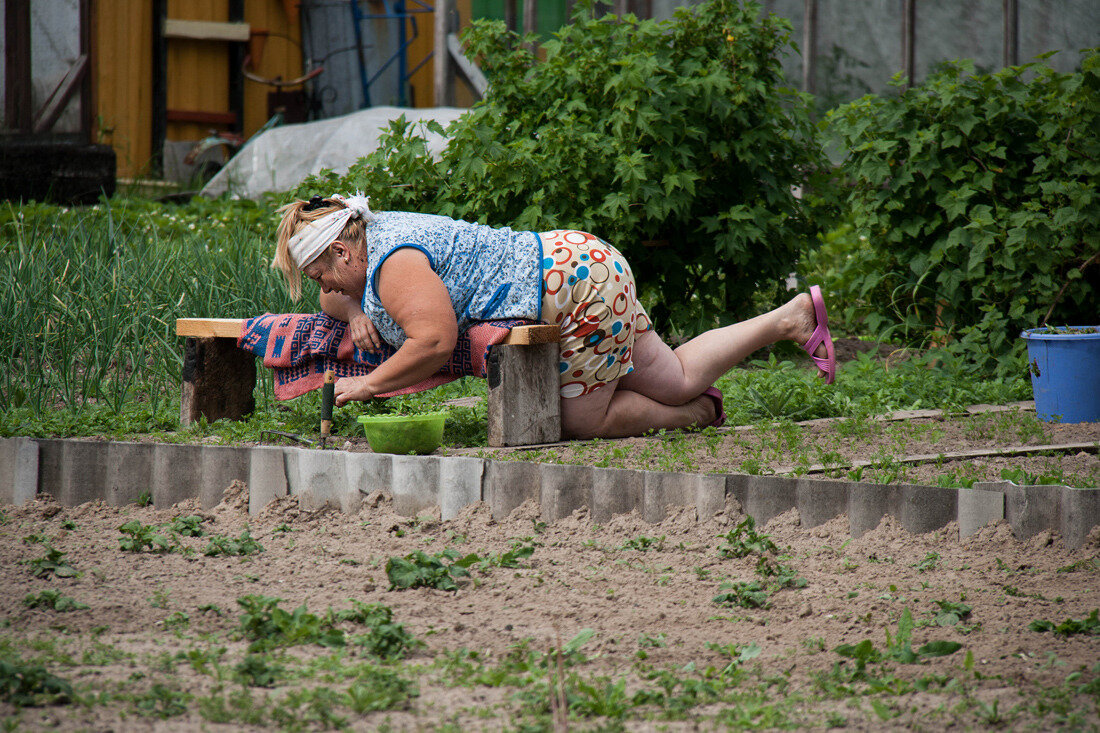 Соседская бабка. Дачницы на даче. Баба на грядке. Бабы в огороде. Бабка в огороде.