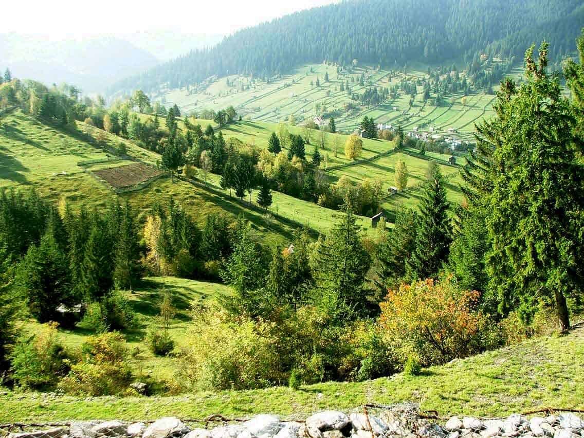 Северная буковина на карте. Северная буковина и бессарабия на карте. Присоединение буковины и бессарабии. Присоединение бессарабии 1940 карта. Румыния карпаты буковина.