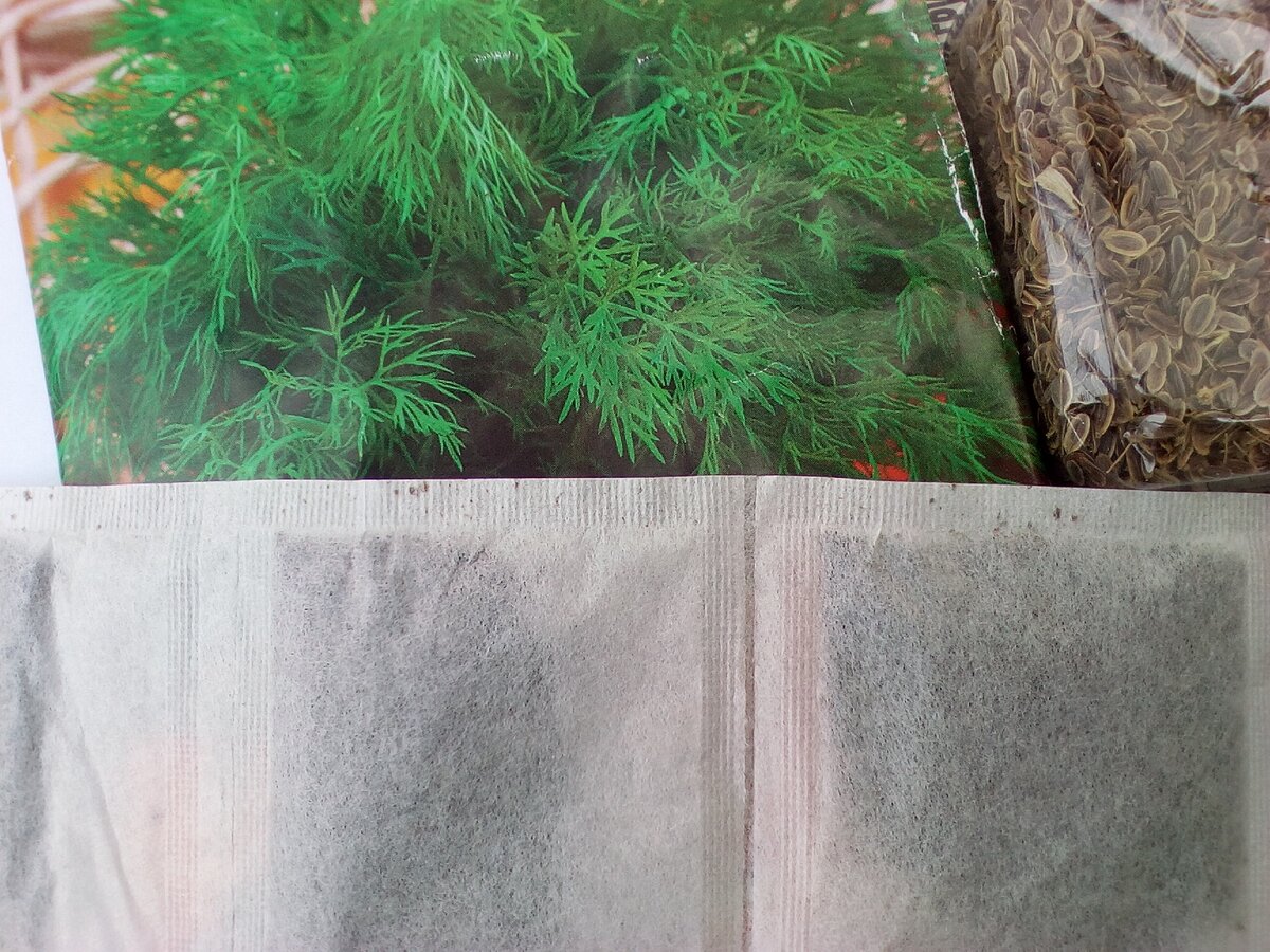 В расчете на быстрый урожай укропа (семена и секретная добавка)