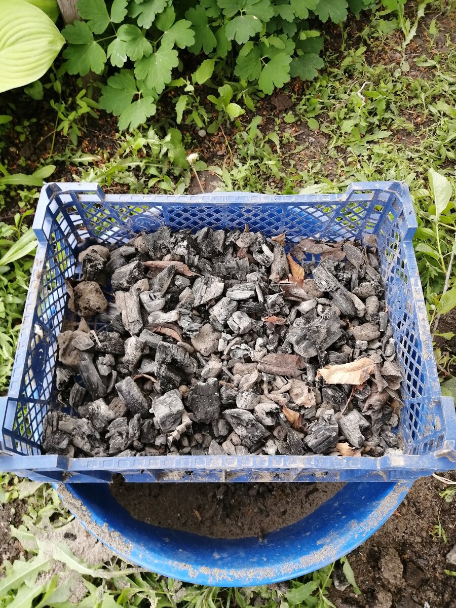 Просеиваем золу. 